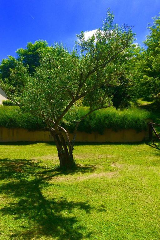 Agriturismo Acero Rosso Civitella di Romagna Kültér fotó